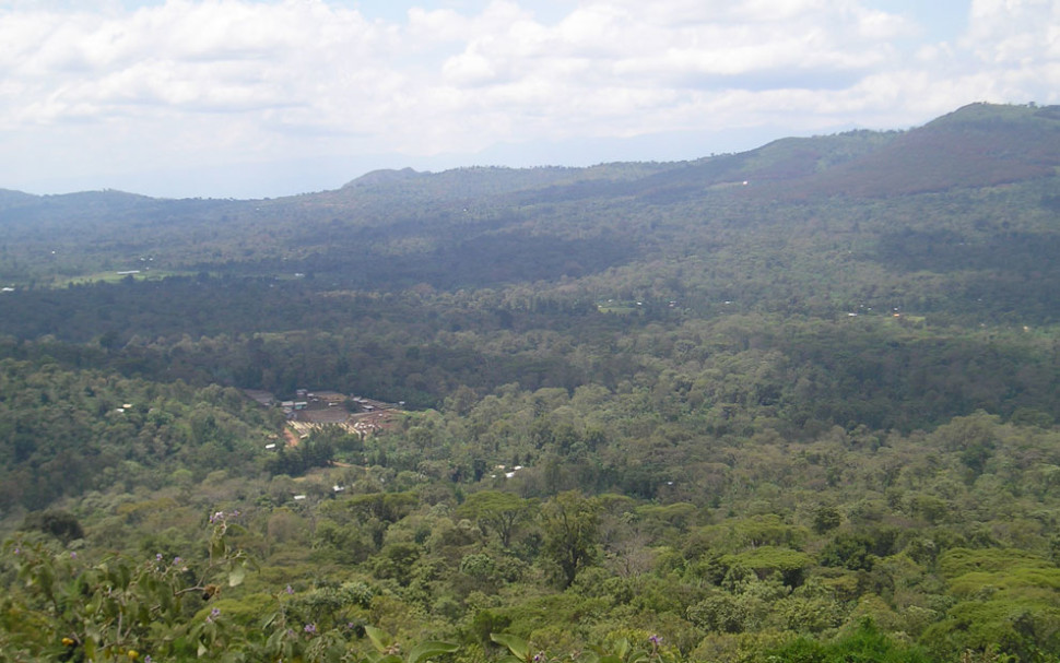 P1010002